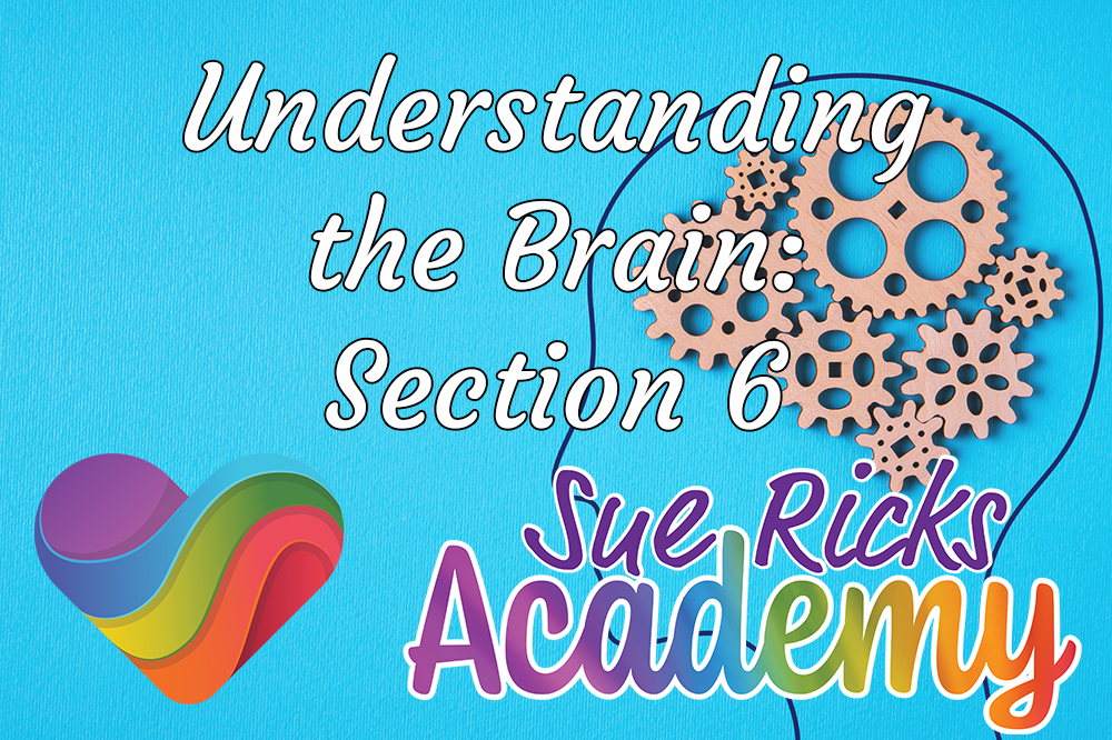 Understanding the Brain - Section 6